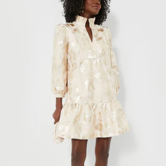 Tuckernuck Palmerston Mini Dress-Champagne/Gold-Women’s S-Formal-NEW-Formal-Wed - Picture 2 of 14